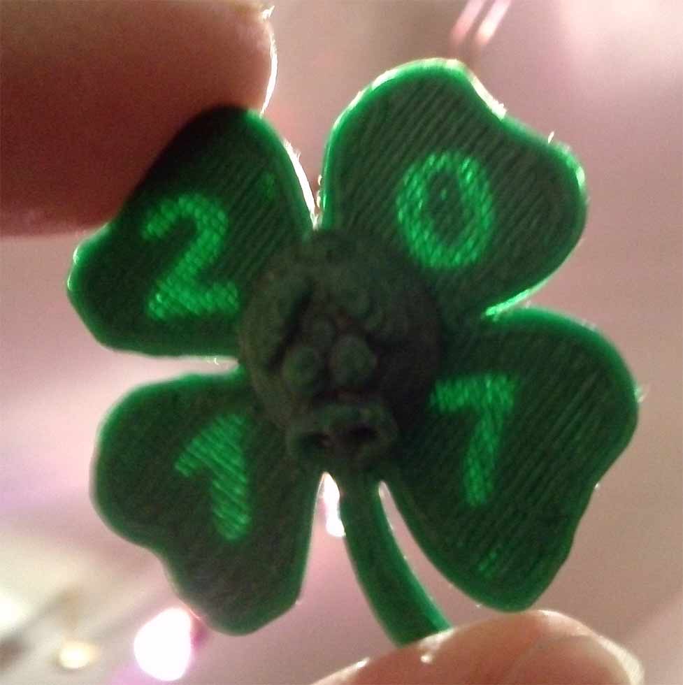 New Years Clover with Pig, hidden numbers — 3D model preview